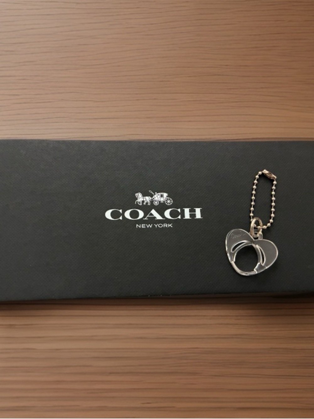 Coach Poppy Acrylic Heart Charm on Ball Chain